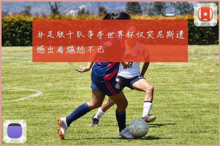 非足联十队争夺世界杯仅突尼斯遗憾出局尴尬不已