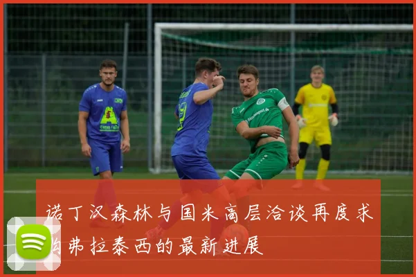诺丁汉森林与国米高层洽谈再度求购弗拉泰西的最新进展